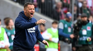 Herthas Trainer Pal Dardai gibt Anweisungen. / Foto: Sven Hoppe/dpa