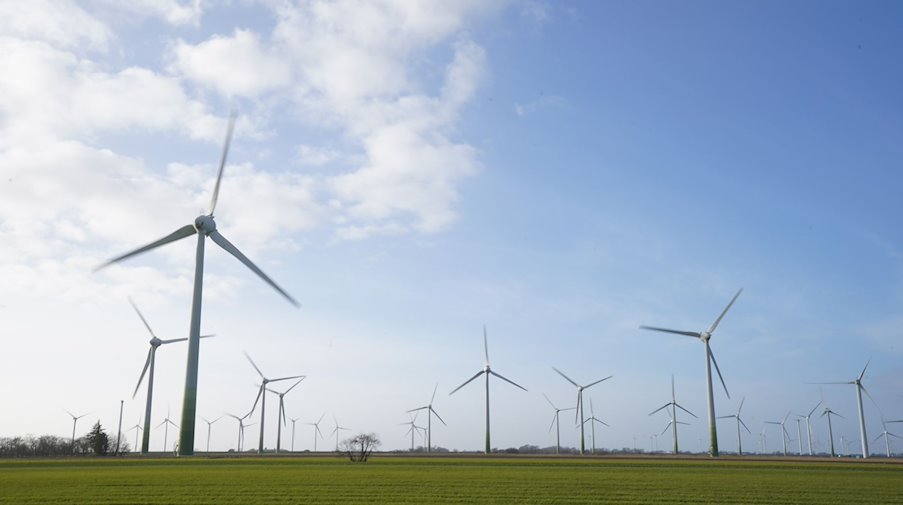Windenergieanlagen stehen auf einem Feld. / Foto: Marcus Brandt/dpa/Symbolbild