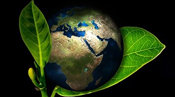 Symbolbild Umweltschutz / pixabay geralt
