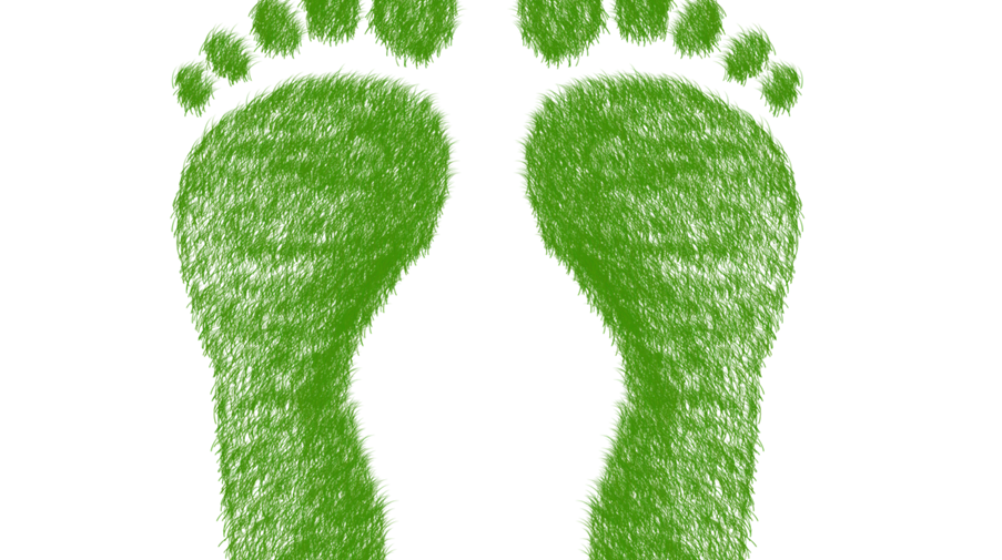 Symbolbild ökologischer Fußabdruck / pixabay ElisaRiva