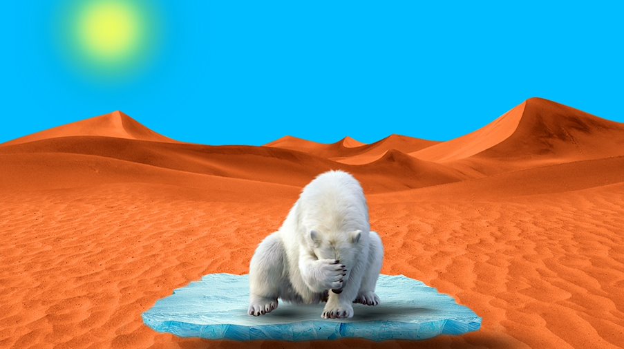 Symbolbild Klimakrise / pixabay Terranaut