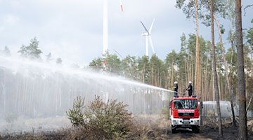 Löscharbeiten der Feuerwehr in einem Waldbrandgebiet. / Foto: Sebastian Kahnert/dpa/Symbolbild