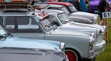 Fahrzeuge der Marke Trabant beim Internationalen Trabi-Treffen. / Foto: Stefan Sauer/dpa/Archivbild