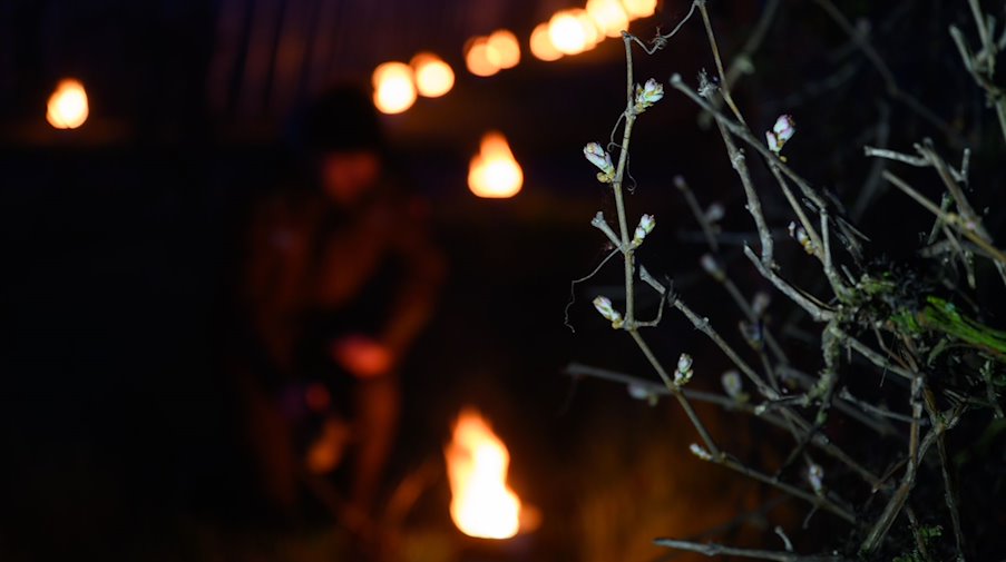 Zahlreiche kleine kontrollierte Feuer brennen in einem Weinberg. / Foto: Robert Michael/dpa