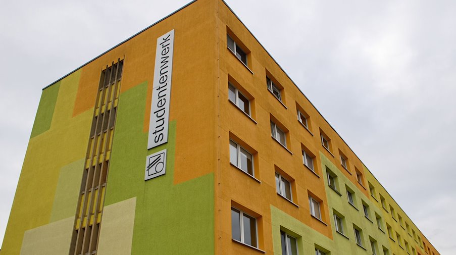 «Studentenwerk» steht an einem Gebäude einer Universität. / Foto: Klaus-Dietmar Gabbert/dpa/Symbolbild