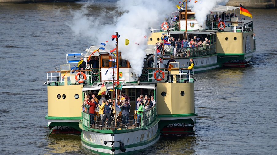 Die historischen Schiffe der Sächsischen Dampfschifffahrt starten zu ihrer Flottenparade auf der Elbe. / Foto: Robert Michael/dpa