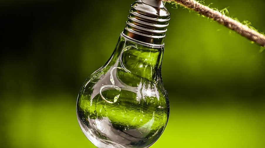 Symbolbild Nachhaltigkeit / pixabay Alexas_Fotos