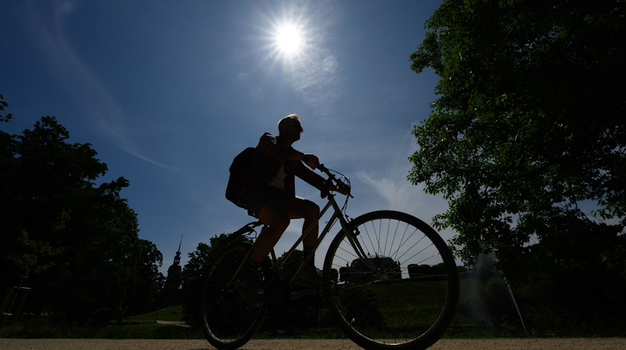 Ein Radfahrer fährt bei Sonnenschein durch den Park am Zwingerteich. / Foto: Robert Michael/dpa