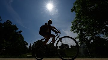 Ein Radfahrer fährt bei Sonnenschein durch den Park am Zwingerteich. / Foto: Robert Michael/dpa
