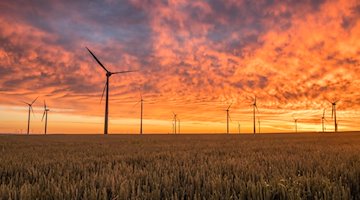 Symbolbild erneuerbare Energien / pixabay Pexels