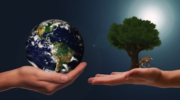 Symbolbild Klimaschutz / pixabay geralt