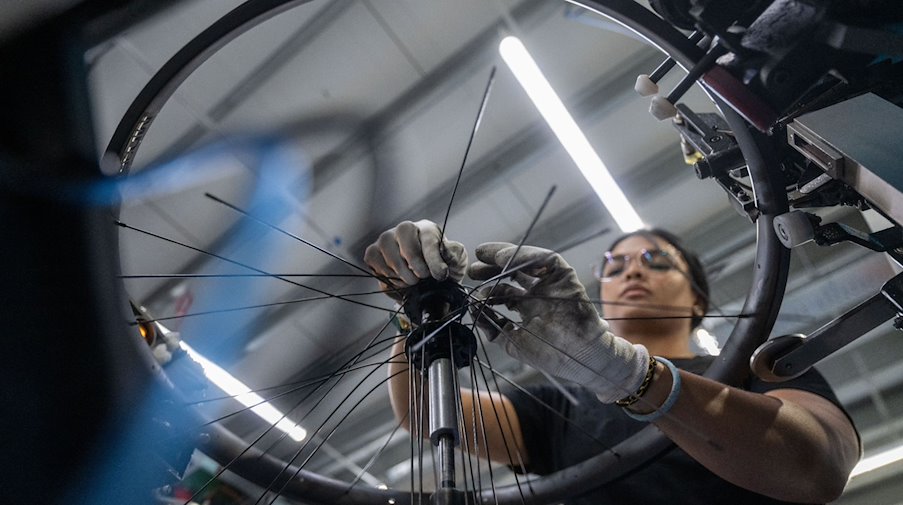 Génesis Morenos aus Venezuela ist mit dem Einspeichen von Rädern in der Produktion des Fahrradherstellers Diamant beschäftigt. / Foto: Hendrik Schmidt/dpa