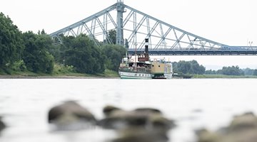 Ein historischer Dampfer der Sächsischen Dampfschifffahrt fährt vor der Elbbrücke Blaues Wunder auf der Elbe. / Foto: Sebastian Kahnert/dpa