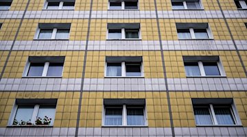 An einer gelb-weißen Hausfassade sind Fenster wie ein Muster angeordnet. / Foto: Christophe Gateau/dpa/Symbolbild