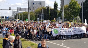 Fridays For Future Demo in Dresden