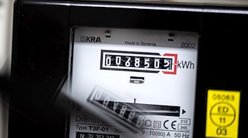 Ein Stromzähler zeigt in einem Mietshaus die verbrauchten Kilowattstunden an. / Foto: Sina Schuldt/dpa/Symbolbild