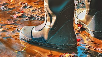 Symbolbild Regenwetter / pixabay NickyPe