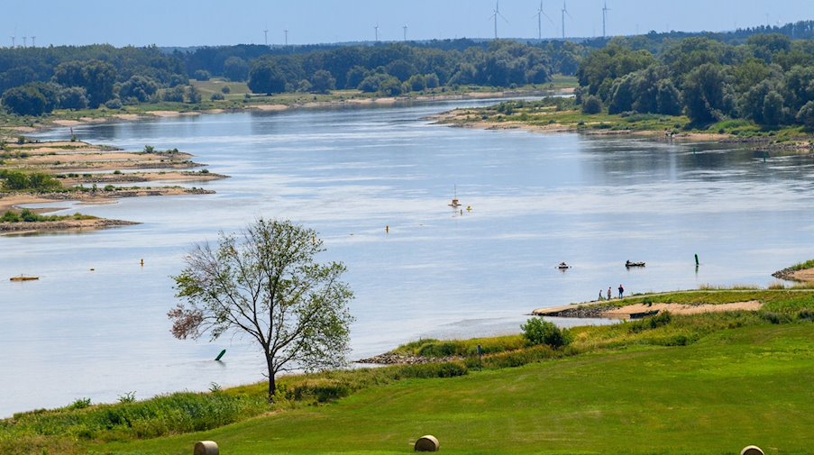 Sandbänke liegen am Ufer der Elbe trocken. / Foto: Klaus-Dietmar Gabbert/dpa