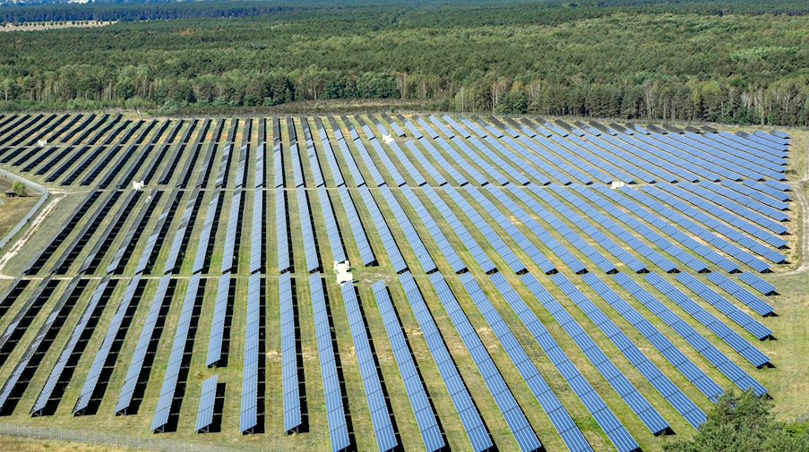 Eine Photovoltaik-Freiflächenanlage. / Foto: Patrick Pleul/dpa-Zentralbild/dpa