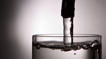Leitungswasser läuft aus einem Wasserhahn in ein Glas. / Foto: Lukas Schulze/dpa/Symbolbild