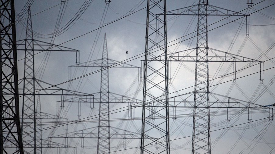 Power pylons of a high-voltage power line. / Photo: Federico Gambarini/dpa/iconic image