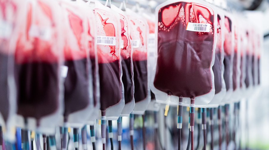 Blutkonserven werden in einem Labor aufbereitet. / Foto: Rolf Vennenbernd/dpa