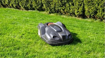 https://pixabay.com/de/photos/gras-rasen-sommer-natur-garten-3318960/