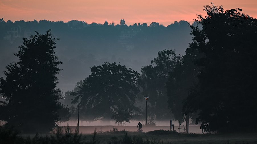 Ein Fahrradfahrer ist am Morgen auf dem Elberadweg nahe dem Fährgarten unterwegs. / Foto: Robert Michael/dpa