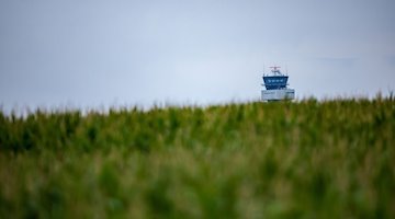 La torre del aeropuerto de Leipzig-Halle se ve detrás de un campo de maíz. / Foto: Jan Woitas/dpa