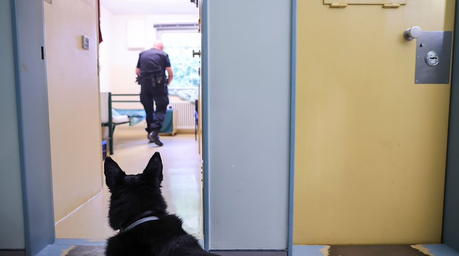 Ein Justizbeamter durchsucht mit einem Spürhund in einem Revisionseinsatz einen Haftraum. / Foto: Jan Woitas/dpa