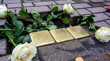 Die Stolpersteine der Familie Hamburger