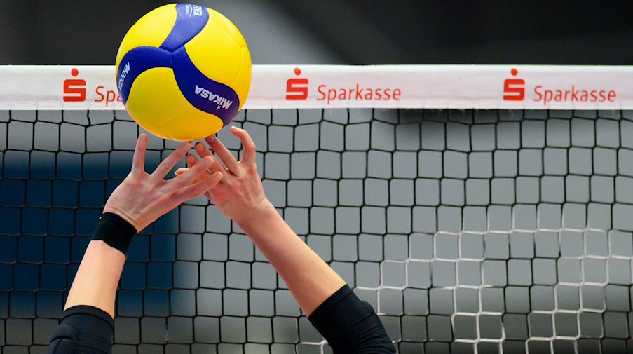 Die Volleyball-Frauen des Dresdner SC haben den dritten Auswärtssieg in Serie gefeiert. / Foto: Robert Michael/dpa-Zentralbild/dpa/Symbolbild