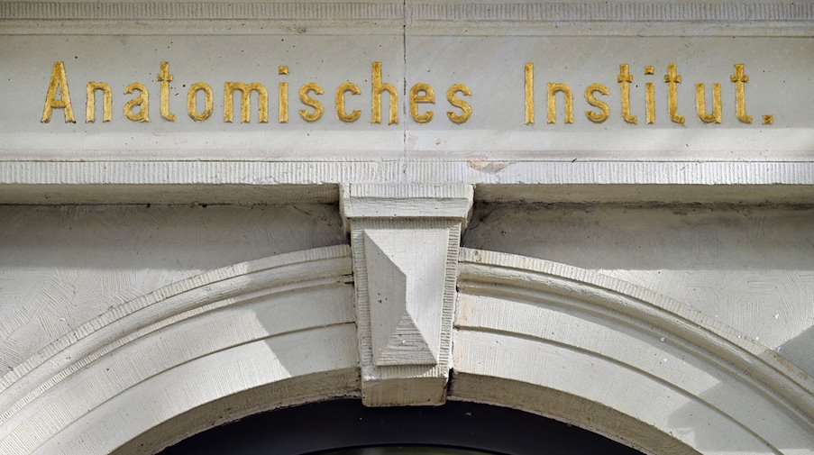 «Anatomisches Institut» steht über dem Eingang zum Institut für Anatomie des Uniklinik Jena. / Foto: Martin Schutt/dpa