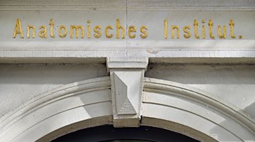 «Anatomisches Institut» steht über dem Eingang zum Institut für Anatomie des Uniklinik Jena. / Foto: Martin Schutt/dpa