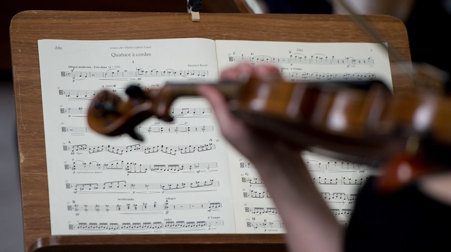 Eine Geigerin spielt in einem Konzert. / Foto: Daniel Reinhardt/dpa/Archivbild