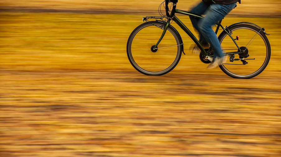 Un hombre circula en bicicleta por una carretera cubierta de coloridas hojas otoñales / Foto: Jan Woitas/dpa