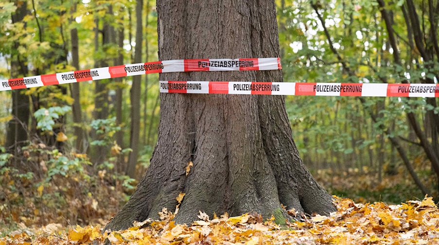 Absperrband der Polizei hängt im Dresdner Stadtteil Prohlis im Schlosspark nachdem ein Unbekannter ein Mädchen im Grundschulalter bedrängt haben soll. / Foto: Sebastian Kahnert/dpa