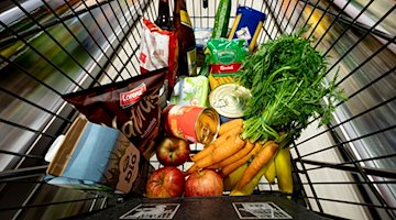 المواد الغذائية في عربة تسوق في سوبر ماركت. / الصورة: فابيان سومر / دبا / صورة رمزية