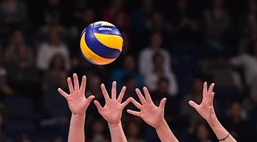 Hände verfolgen einen Volleyball. / صورة: Silas Stein/dpa