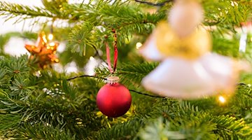 Un árbol de Navidad decorado / Foto: Jonas Walzberg/dpa/Imagen simbólica