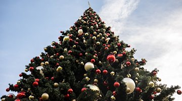 Adornos navideños colgados de un árbol / Foto: Hannes P. Albert/dpa