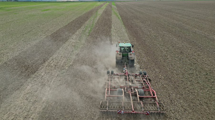 Трактор розпушує ґрунт у полі бороною, здіймаючи хмару пилу / Фото: Matthias Bein/dpa