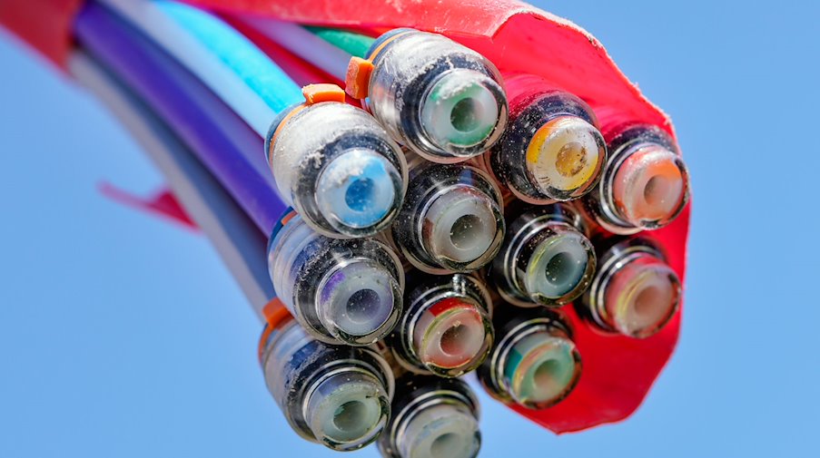 A bundle of fiber optic cable sheaths hangs in front of a blue sky / Photo: Uwe Anspach/dpa/Symbolic image