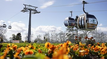 Cable car cabins travel behind a flower bed on the grounds of the Federal Garden Show 2023 in Mannheim / Photo: Uwe Anspach/dpa