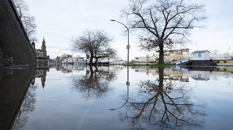 Trees are reflected in the high water of the Elbe on the terrace bank / Photo: Sebastian Kahnert/dpa
