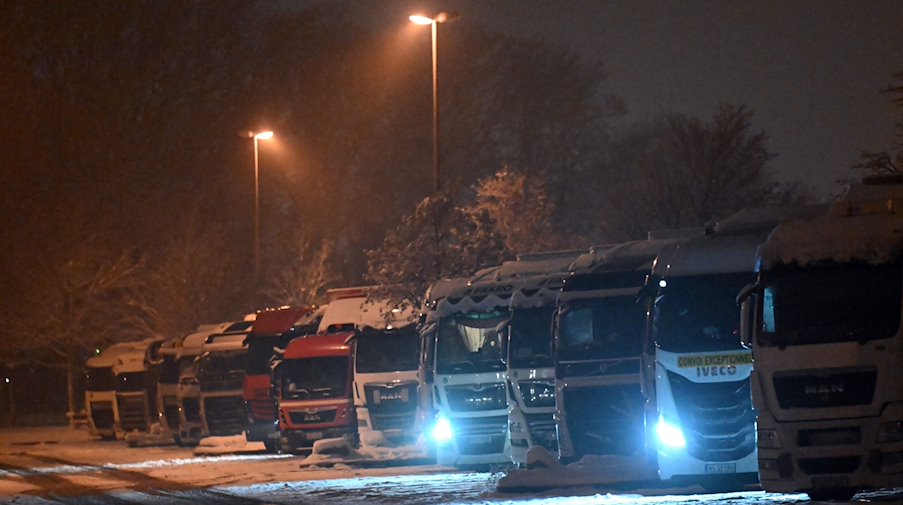 Вантажівки припарковані на автостоянці на автомагістралі / Фото: Martin Schutt/dpa