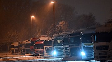 Trucks parked in a highway parking lot / Photo: Martin Schutt/dpa