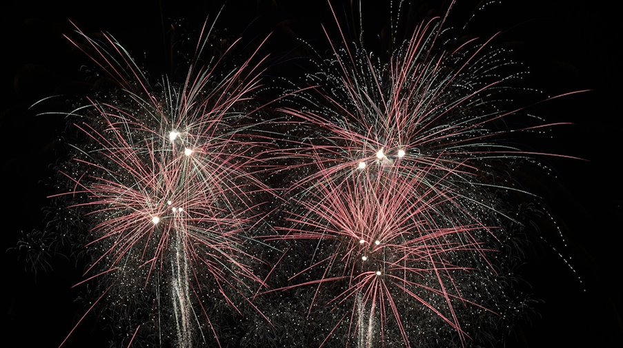 New Year's Eve fireworks / Photo: Lars Penning/dpa