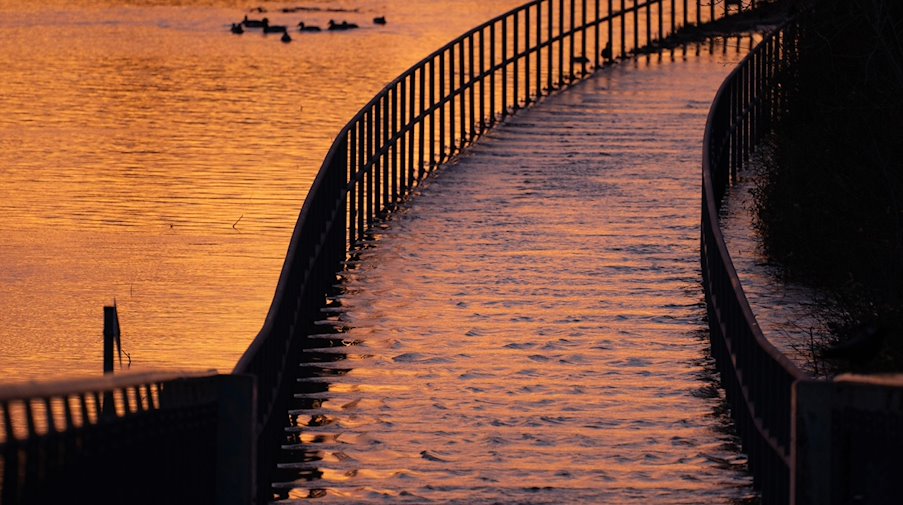 Das Licht der aufgehenden Sonne spiegelt sich im Hochwasser der Elbe auf einem Radweg. / Foto: Sebastian Kahnert/dpa