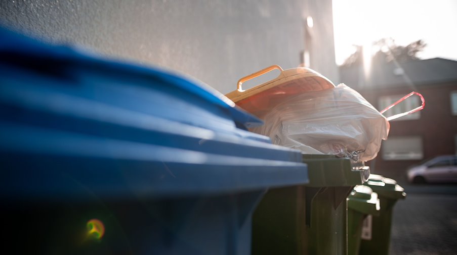 Mülltonnen stehen in einer Hauseinfahrt. / Foto: Fabian Strauch/dpa/Symbolbild